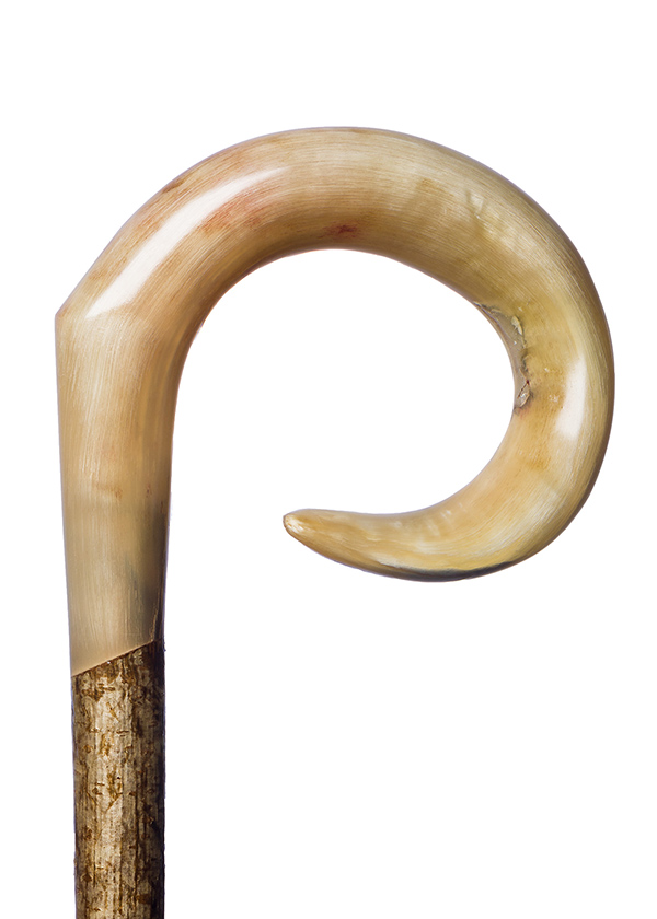 Horn Walking Sticks